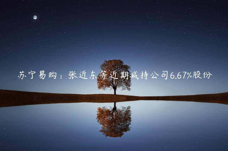 蘇寧易購(gòu)：張近東等近期減持公司6.67%股份